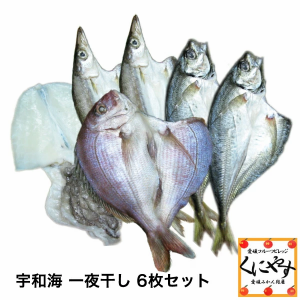 【送料無料】【ギフト】【産地直送】【天然魚】宇和海朝獲れ鮮魚の「一夜干し6枚セット」【鮮度抜群CAS冷凍品】（真鯛1枚、カマス2枚、釣