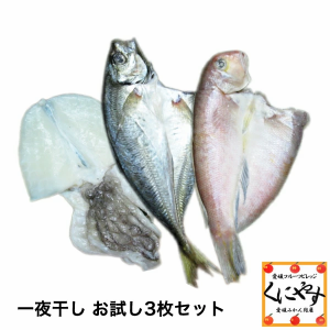 【送料無料】【ギフト】【産地直送】【天然魚】宇和海朝獲れ鮮魚の一夜干しお試し3枚セット「釣アジ・アマダイ・スミイカ」【鮮度抜群CAS