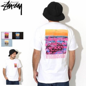 ステューシー Tシャツ 半袖 STUSSY メンズ Clear Day ( stussy tee T-SHIRTS カットソー トップス 男性用 1904502 USAモデル 正規 )