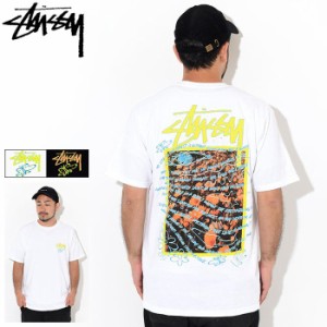 ステューシー Tシャツ 半袖 STUSSY メンズ Super Bloom ( stussy tee T-SHIRTS カットソー トップス 男性用 1904550 USAモデル 正規 )