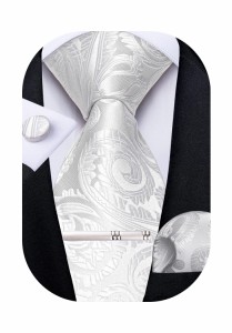 DiBanGu メンズ ネクタイ 結婚式シルク 白いペイズリー ハンカチ タイピン セット 洗濯可能 パーティー 二次会