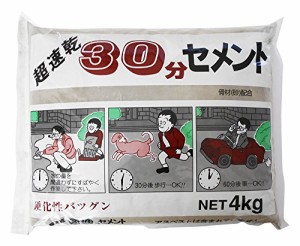 家庭化学 超速乾30分セメント グレー 4kg