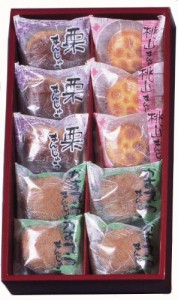 河内駿河屋 銘菓撰 10個入り 贈物 ギフト法事 お茶菓子