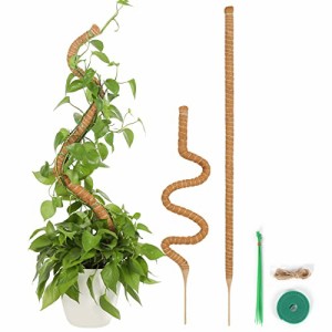 T4U 園芸支柱 114CM モンステラ支柱 ココナッツ支柱 観葉植物 つる植物支柱 ガーデニング支柱 維持水分 養分維持 農業用 園芸用 2本