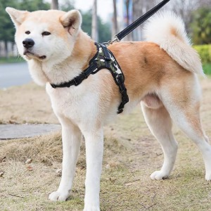 犬用ハーネス＆リーダーセット 犬胴輪 可愛い メッシュ ソフト 束縛感なし 通気性 調節可能 引っ張り防止 小型犬 中型犬 散歩/訓練/お出