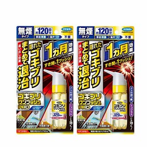 まとめ買いゴキブリワンプッシュプロ120回分×2個 駆除 殺虫剤 スプレー 無煙タイプ 防除用医薬部外品