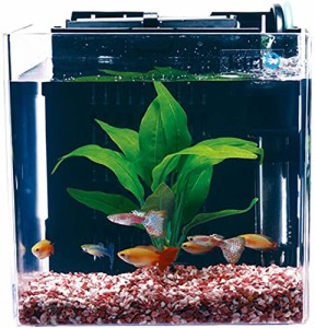 テトラ Tetra スマート熱帯魚飼育セットSP-17TF 水槽容量 5L 水槽 アクアリウム サカナ