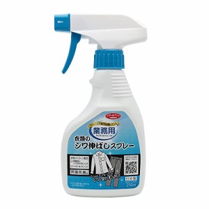 アイメディア しわ伸ばしスプレー 洗濯洗剤 シワ取り 消臭スプレー 250ml 日本製 無香料 衣類用 ワイシャツ 業務用 抗菌 防臭 衣類のシ