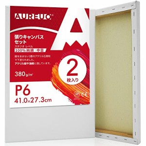 AUREUO 張りキャンバス セット P6 41cmX27.3cm 中目 100％コットン 2枚 初心者 絵画用具 芸術絵創作 現代油絵 美術装