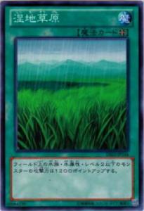 遊戯王カード　草原 草原【遊戯王トレカ高価買取価格査定：トレコロ】