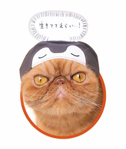 【生きててえらい！】かわいいかわいい ねこのかぶりもの コウペンちゃん