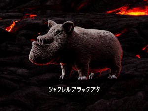 【シャクレルブラックブタ】 パンダの穴 シャクレルブラック