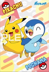 【ピカチュウ＆ポッチャマ】ポケットモンスター ポケモンブロマイドガム