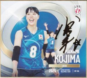 バレーボール男子日本代表 高橋藍 ミニ色紙 直筆サイン バレーボール男子日本代表2025 トレーディングmini色紙 高橋藍選手