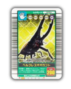 超美品　非売品　ムシキングGCカード　2万番台 2025年最新】ムシキング チャンピオンカードの人気アイテム