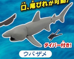 【ウバザメ】あそべる生物フィギュアシリーズ 青き海の世界 ザ・シャーク シロワニあらわる