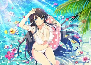 【斑鳩】閃乱カグラ 2L判ブロマイド Vol.2