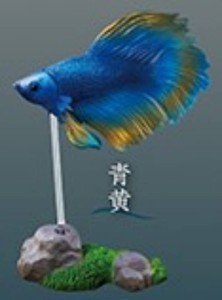 【青黄】闘魚-ベタ-