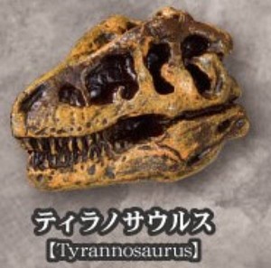 【ティラノサウルス】恐竜化石博物館