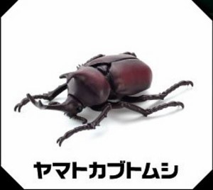 【ヤマトカブトムシ】モデリングビートルズ