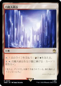 マジックザギャザリング WHO JP 0309 灼陽大峡谷 (日本語版 レア) ドクター・フー MTG