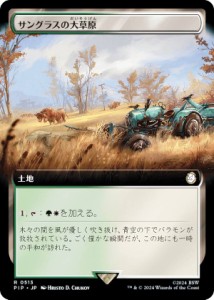 【拡張アート版】マジックザギャザリング PIP JP 0513 サングラスの大草原 (日本語版 レア) Fallout (MTG)