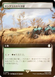 【FOIL/拡張アート版】マジックザギャザリング PIP JP 0513 サングラスの大草原 (日本語版 レア) Fallout (MTG)