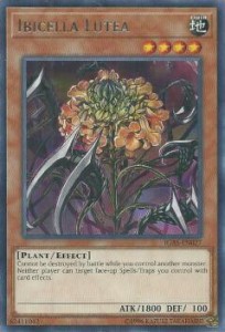 【Unlimited Edition】遊戯王 IGAS-EN027 イビルセラ・ルテア Ibicella Lutea (英語版 レア) Ignition Assault