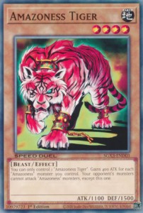 遊戯王 SGX3-END03 アマゾネスペット虎 Amazoness Tiger (英語版 1st Edition ノーマル) Speed Duel GX：Duelists of Shadows