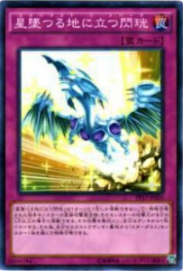 【プレイ用】遊戯王 PP17-JP020 星墜つる地に立つ閃_(日本語版 ノーマル)【中古】