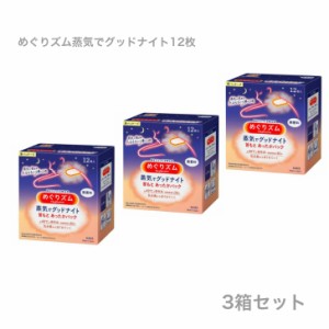  まとめ買い 花王 めぐりズム 蒸気でグッドナイト 無香料 １２枚入 ３箱セット