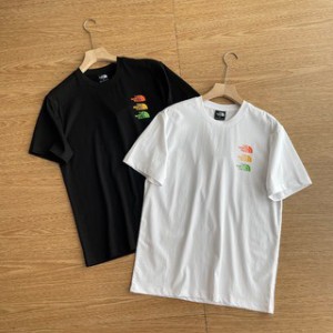 THE NORTH FACE  半袖 Tシャツ 並行輸入品