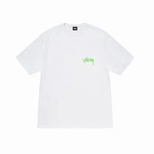 STUSSY ステューシー Tシャツ Tシャツ  半袖 並行輸入品