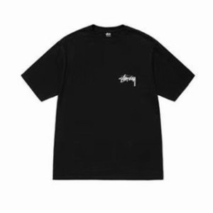 STUSSY ステューシー  Tシャツ  半袖 並行輸入品