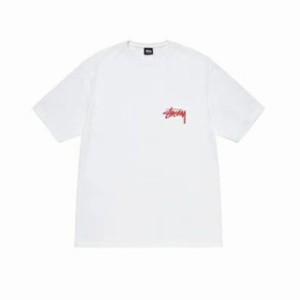 STUSSY ステューシー  Tシャツ  半袖 並行輸入品