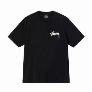 STUSSY ステューシー Tシャツ Tシャツ  半袖 並行輸入品