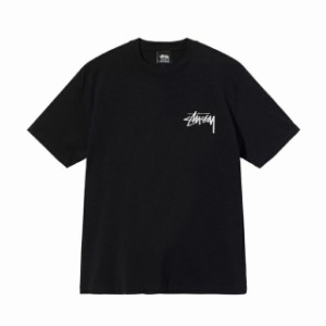 STUSSY ステューシー Tシャツ Tシャツ  半袖 並行輸入品