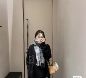 LOEWEクラシックオールマイティー通勤ハンドバッグ斜めショルダーバッグ並行輸入品