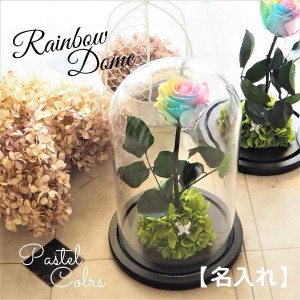 名入れ プリザーブドフラワー レインボーローズ Rainbow Domeパステルカラー アジサイ付き ガラスドーム レインボーローズ茎までプリザー