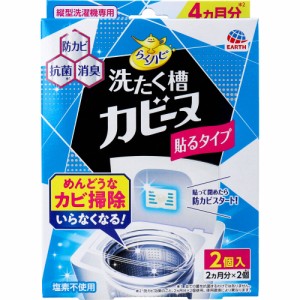 洗濯槽クリーナー 最強 らくハピ 洗たく槽カビーヌ 貼るタイプ 縦型洗濯機専用 2個入