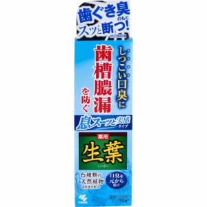 歯磨き粉 薬用 生葉 息スーッと実感タイプ 100g