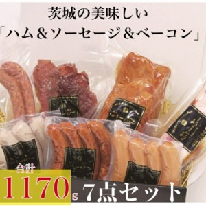 【送料無料】加工品ハムギフトセットBL-66