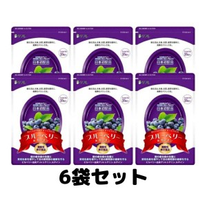 リフレ ブルーベリー＆ルテイン サプリメント 31粒 6袋セット