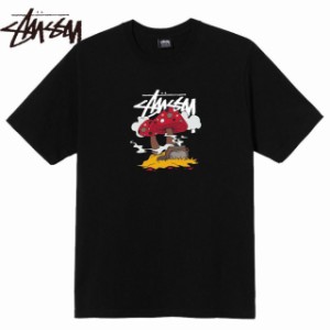 STUSSY ステューシーTシャツ【SOMETHINGS COOKIN S/S Tee】Black/2021S メンズウエアー