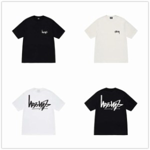 (ステューシー) STUSSY FLIPPED T-SHIRT 1904895メンズ 半袖 Tシャツ ストック ロゴ stussy トップス コットンメンズ []