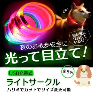 光る首輪 犬用 充電式 レインボー 小型犬 おしゃれ 猫 犬 LEDライト ペット 中型犬