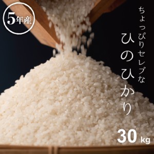 米 お米 30kg ちょっぴりセレブな ヒノヒカリ 国内産 令和5年産 玄米30kg 精米27kg ひのひかり こめたつ