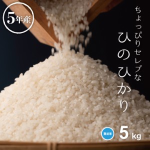 米 お米 5kg ちょっぴりセレブな ヒノヒカリ 無洗米 国内産 令和5年産 精米5kg ひのひかり こめたつ