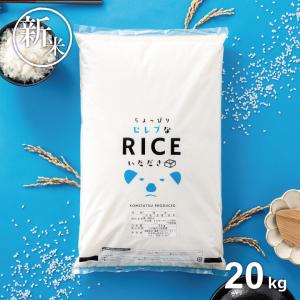 自然栽培 玄米 18kg 2024年産 コシヒカリ（2024年産 自然栽培(無