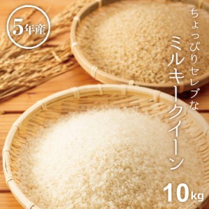 米 お米 10kg ちょっぴりセレブな ミルキークイーン 国内産 令和5年産 5kg×2袋 こめたつ スピード配送